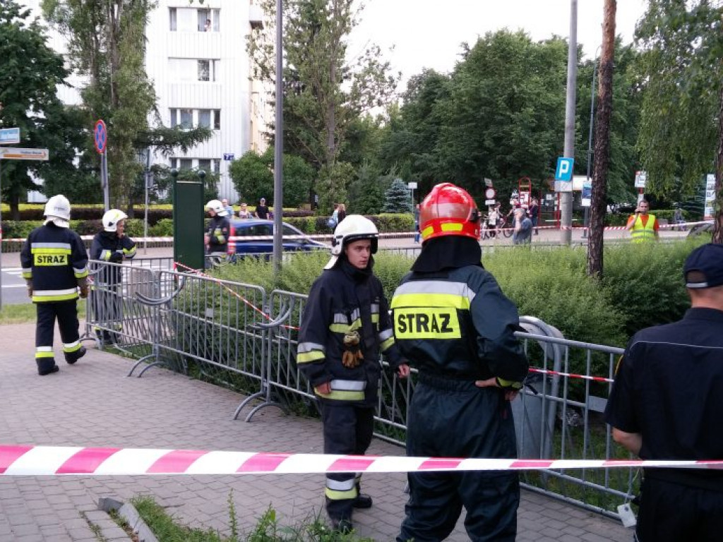 Legionowo: Dzik uciekł z Parku Solidarności. Skrył się przy Sobieskiego