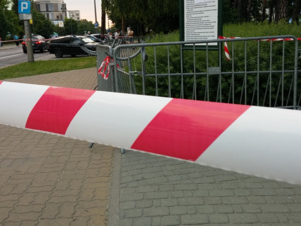 Legionowo: Dzik uciekł z Parku Solidarności. Skrył się przy Sobieskiego