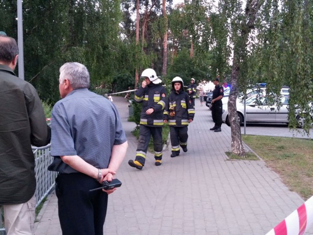 Legionowo: Dzik uciekł z Parku Solidarności. Skrył się przy Sobieskiego