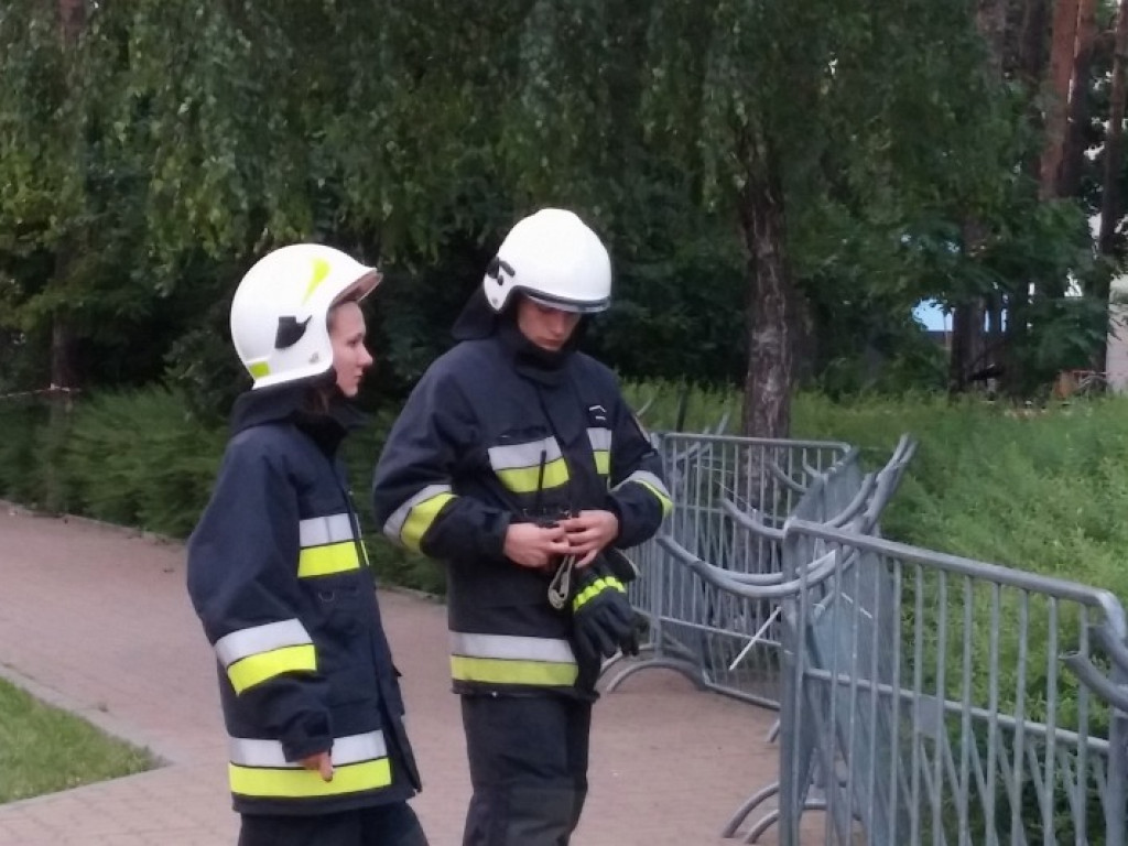 Legionowo: Dzik uciekł z Parku Solidarności. Skrył się przy Sobieskiego