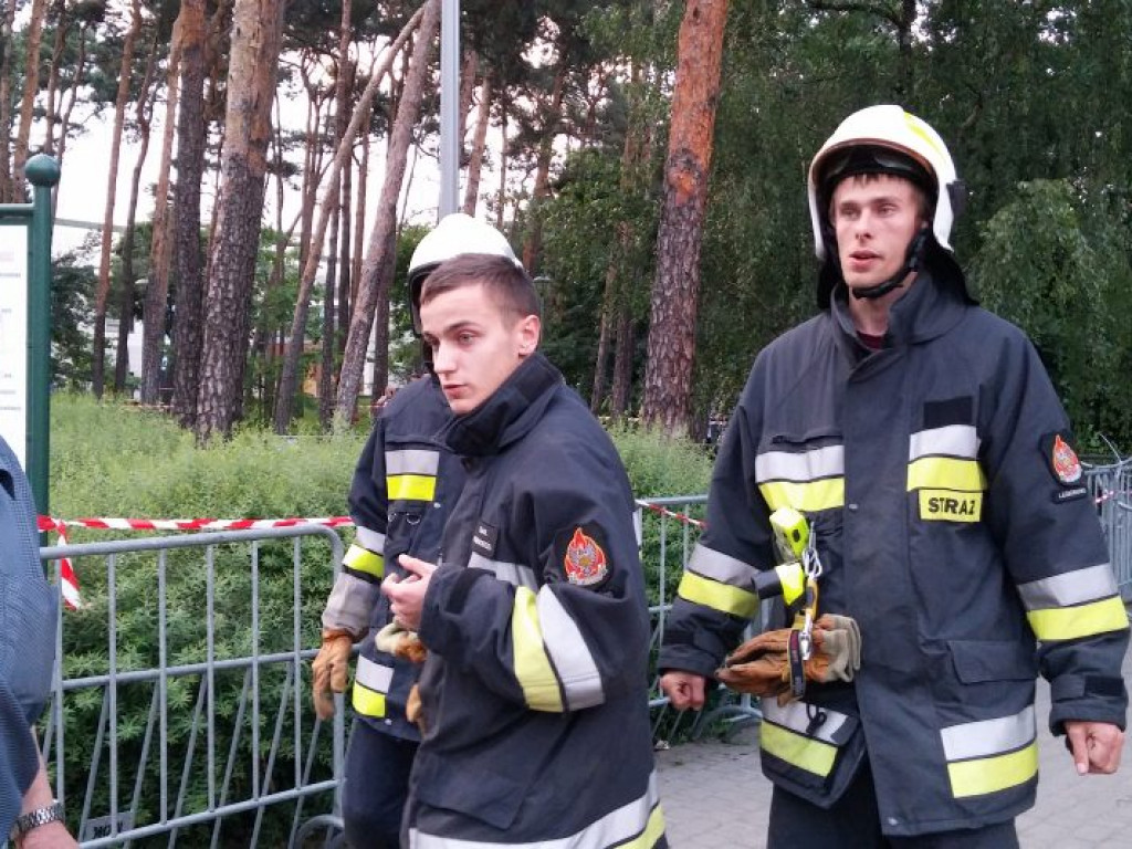 Legionowo: Dzik uciekł z Parku Solidarności. Skrył się przy Sobieskiego