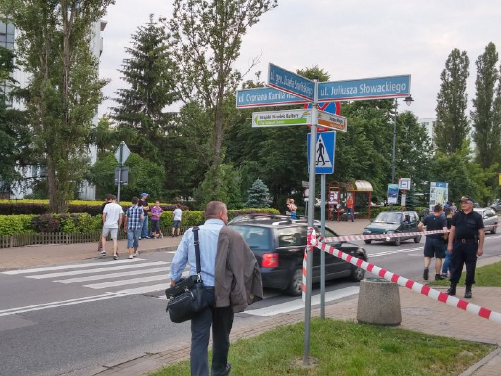Legionowo: Dzik uciekł z Parku Solidarności. Skrył się przy Sobieskiego