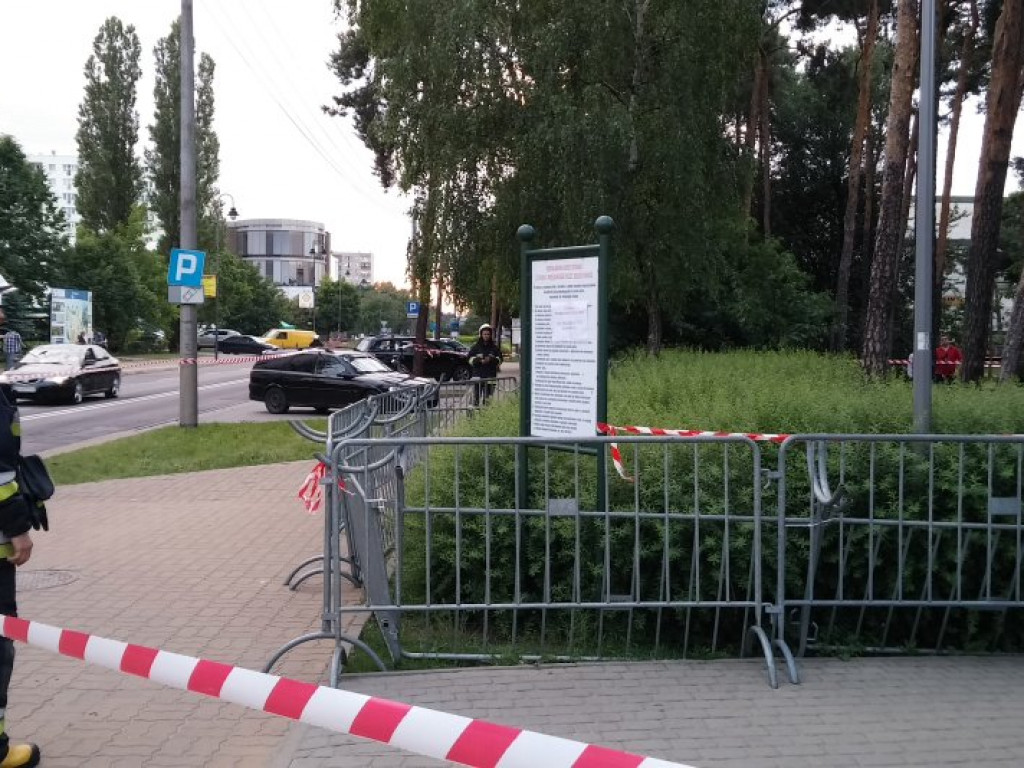 Legionowo: Dzik uciekł z Parku Solidarności. Skrył się przy Sobieskiego
