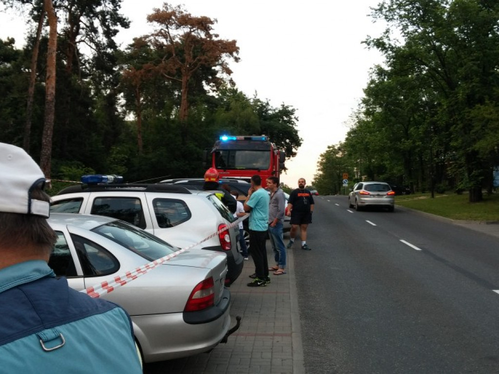 Legionowo: Dzik uciekł z Parku Solidarności. Skrył się przy Sobieskiego