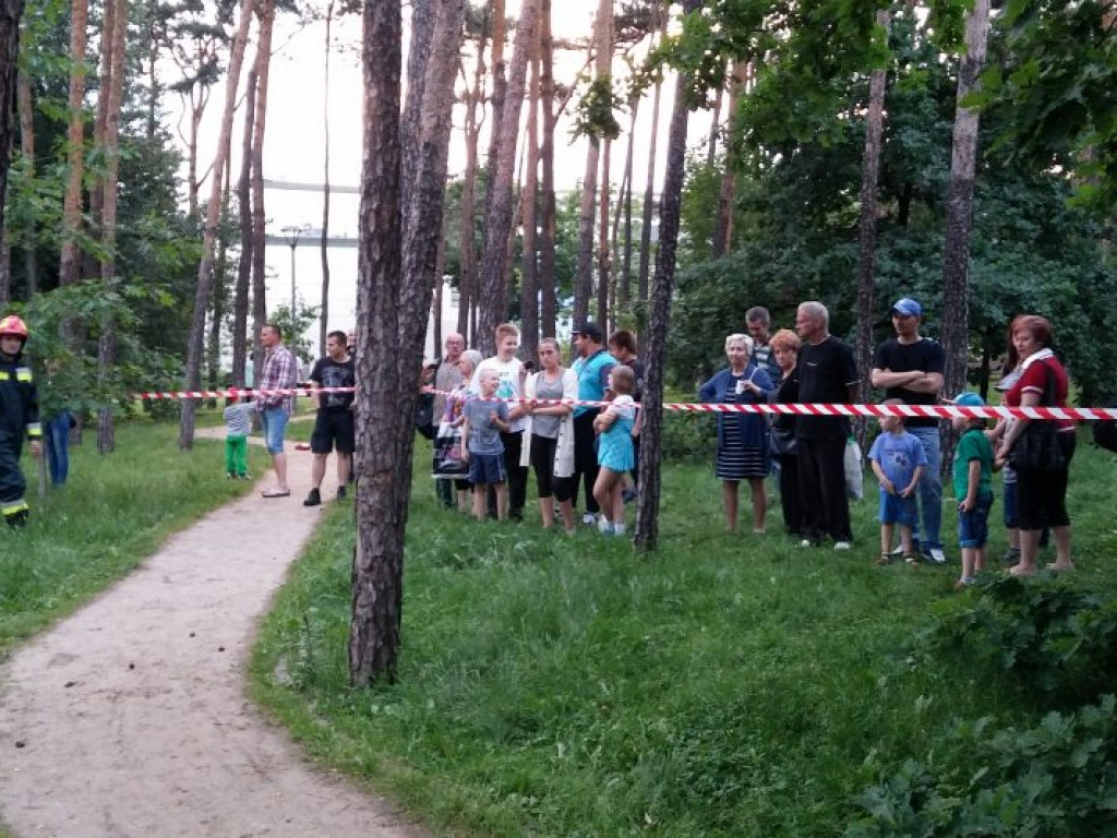 Legionowo: Dzik uciekł z Parku Solidarności. Skrył się przy Sobieskiego