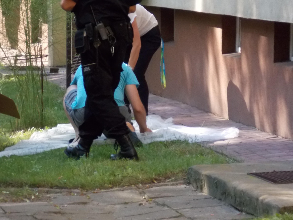 Legionowo: Kacze dzieci odłowione przez Straż Miejską