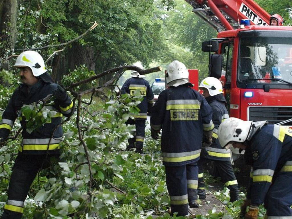 Nowy Dwór Maz.: Złamane drzewo uszkodziło ogrodzenie cmentarza