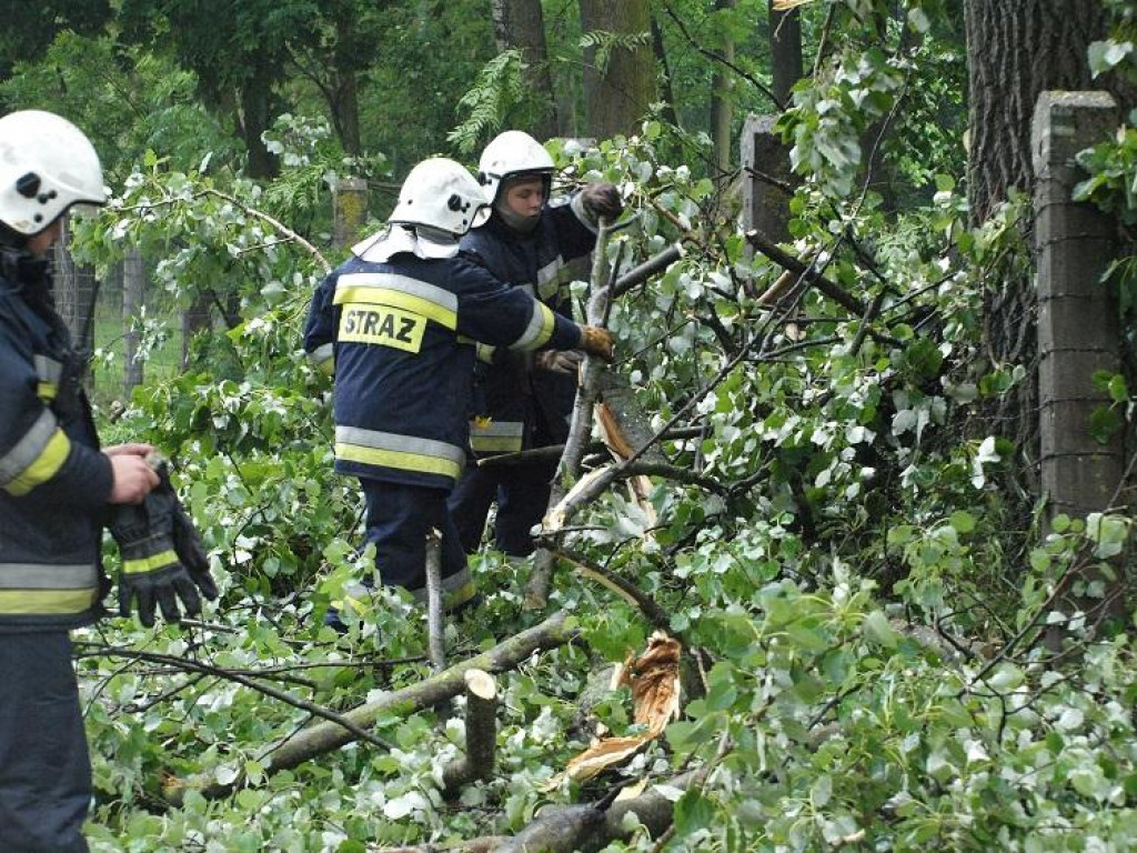 Nowy Dwór Maz.: Złamane drzewo uszkodziło ogrodzenie cmentarza