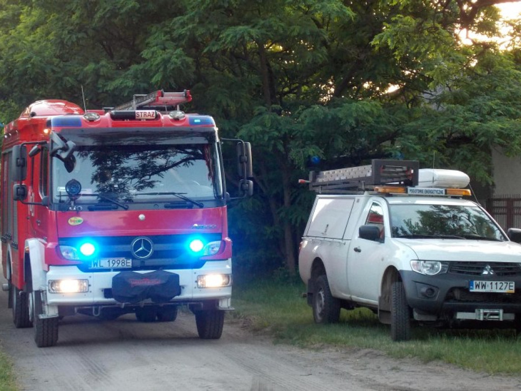 Nieporęt: Strażacy ratowali młodego bociana