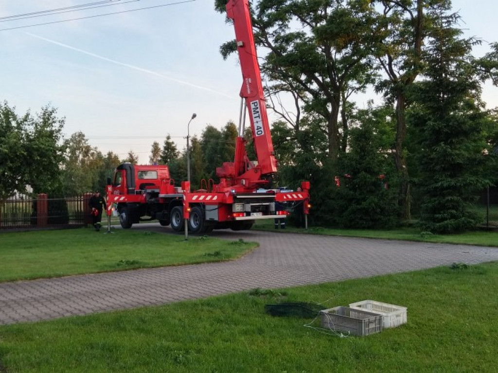 Nieporęt: Strażacy ratowali młodego bociana