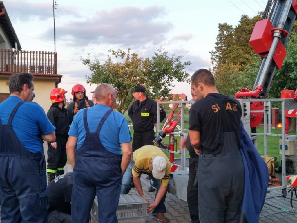 Nieporęt: Strażacy ratowali młodego bociana