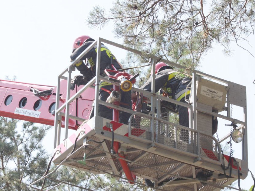 Legionowo: Uwaga na spadające drzewa