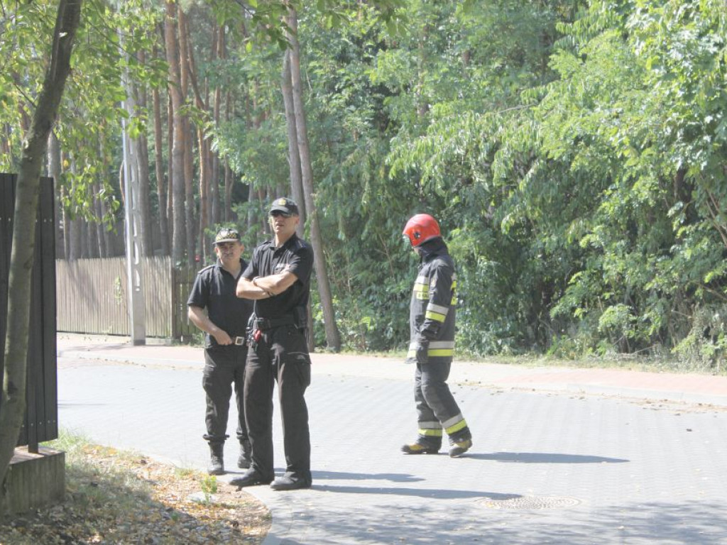 Legionowo: Uwaga na spadające drzewa