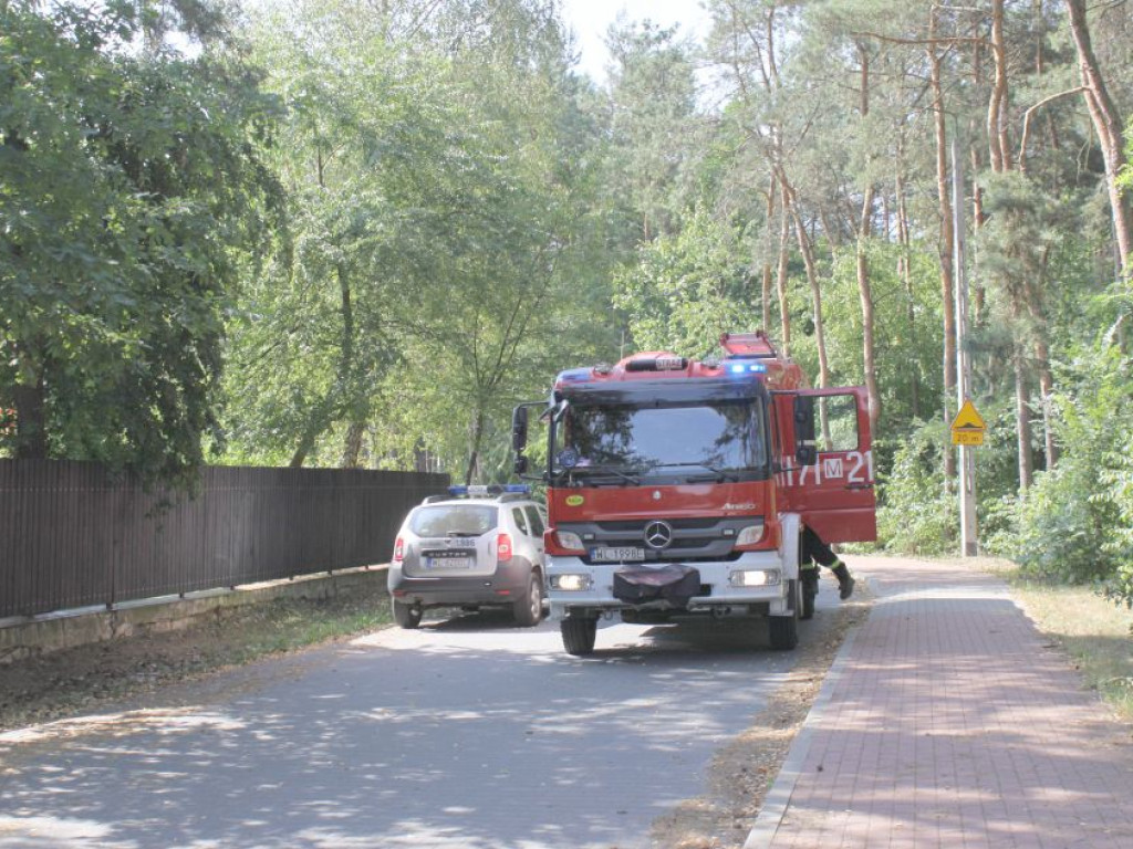 Legionowo: Uwaga na spadające drzewa