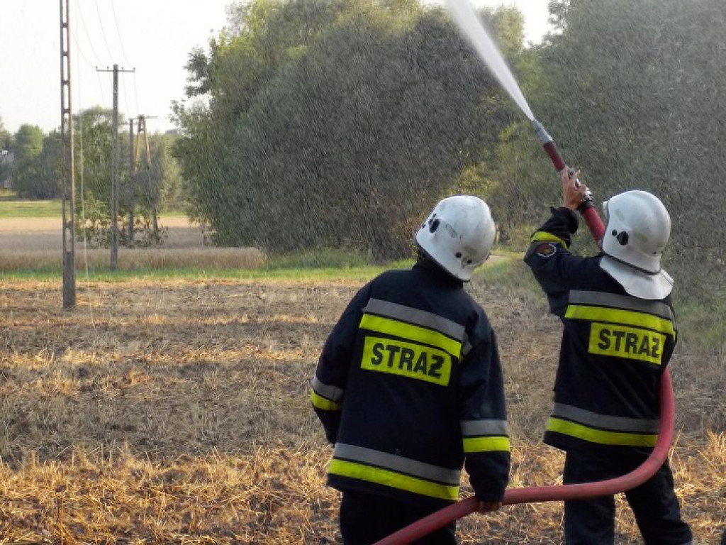 Nasielsk: We wsi Żabiczyn doszczętnie spłonęło bocianie gniazdo