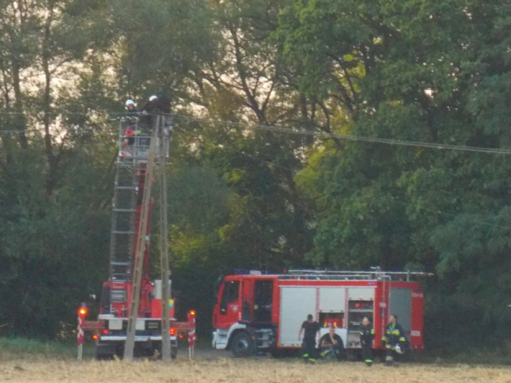 Nasielsk: We wsi Żabiczyn doszczętnie spłonęło bocianie gniazdo