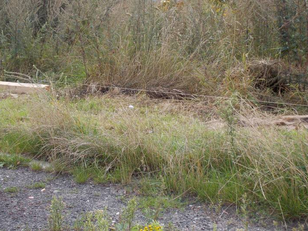 Legionowo: Ruszyła budowa luksusowego apartamentowca (galeria)