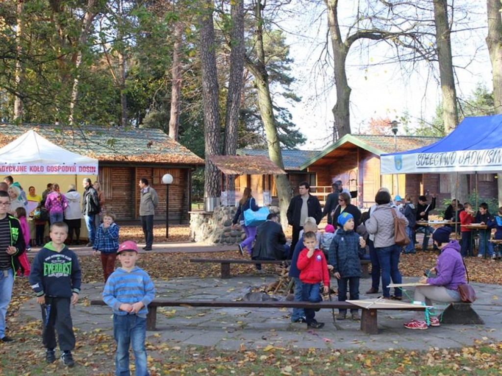 Święto Latawca w Jadwisinie