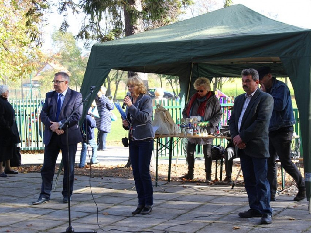 Święto Latawca w Jadwisinie