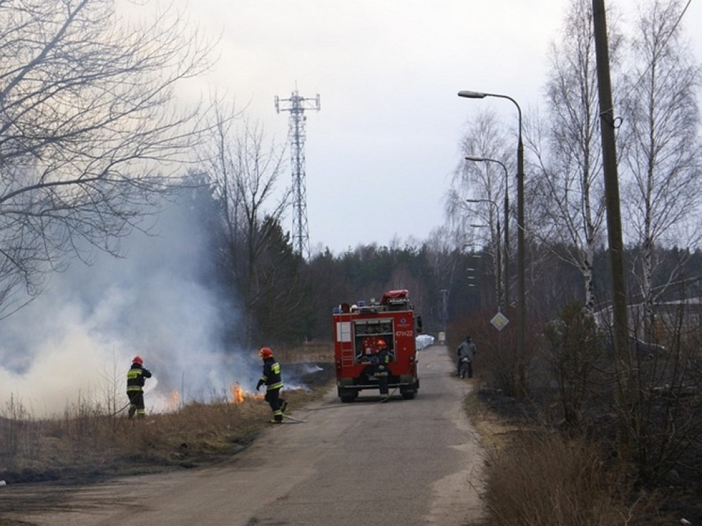 Wieliszew: Przy Modlińskiej spłonął hektar trawy (galeria)