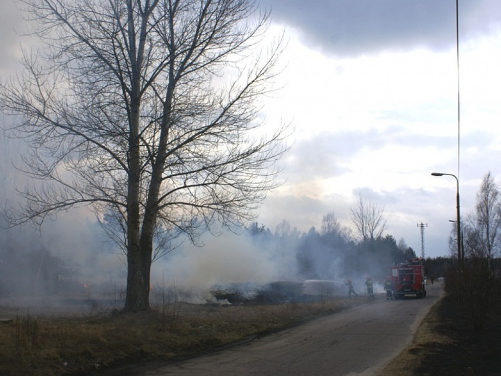 Wieliszew: Przy Modlińskiej spłonął hektar trawy (galeria)