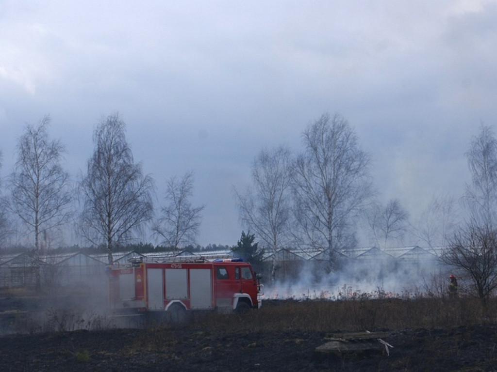 Wieliszew: Przy Modlińskiej spłonął hektar trawy (galeria)