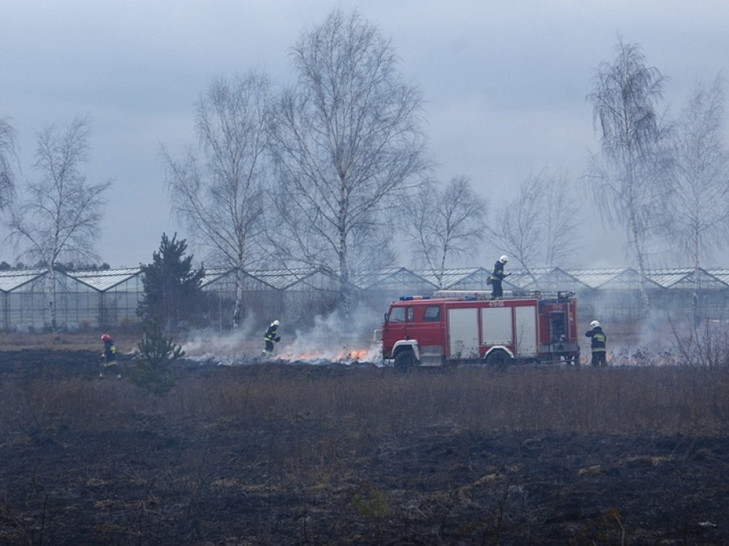 Wieliszew: Przy Modlińskiej spłonął hektar trawy (galeria)