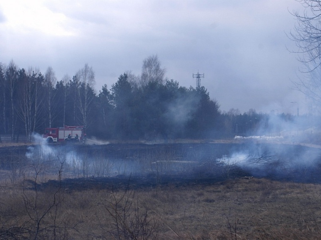 Wieliszew: Przy Modlińskiej spłonął hektar trawy (galeria)