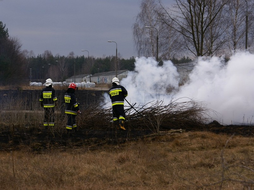 Wieliszew: Przy Modlińskiej spłonął hektar trawy (galeria)