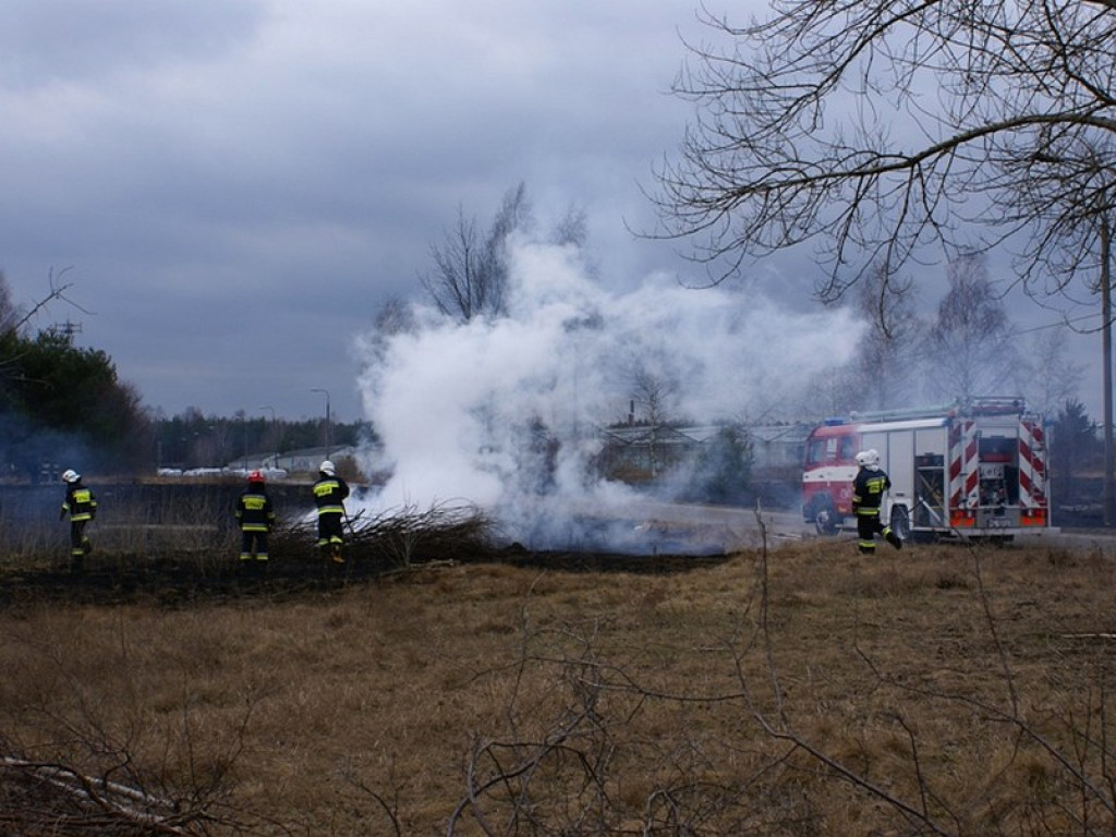 Wieliszew: Przy Modlińskiej spłonął hektar trawy (galeria)