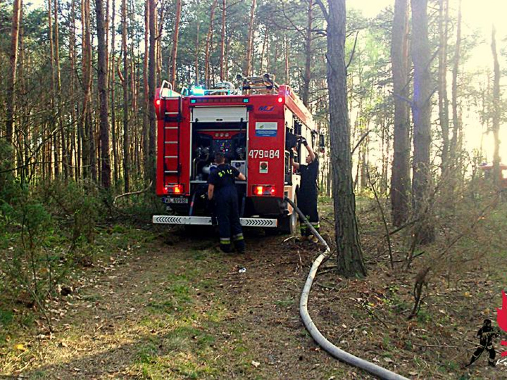 Legionowski: Znów płonęły lasy