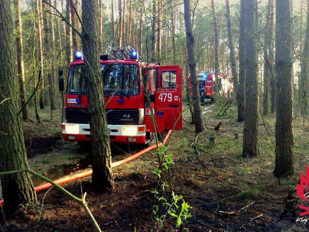 Legionowski: Znów płonęły lasy