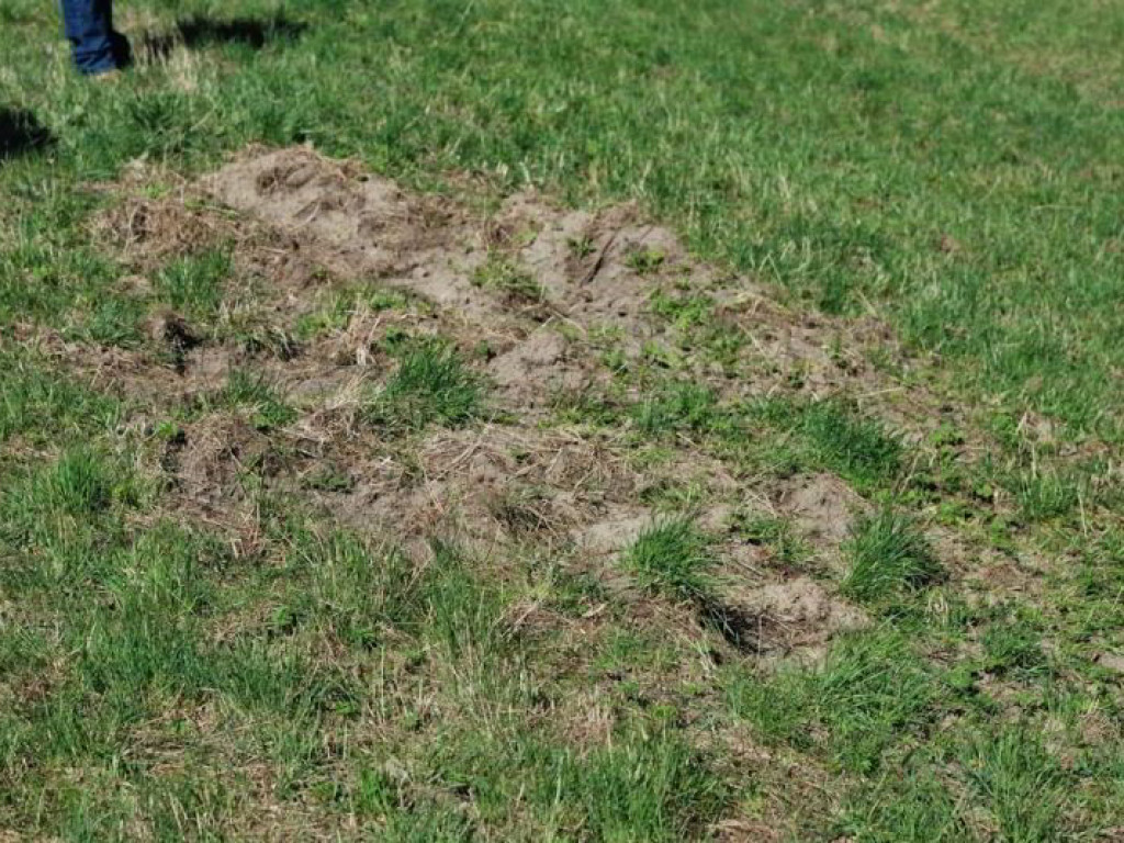 Jabłonna: Skontrolowali stan wałów przeciwpowodziowych