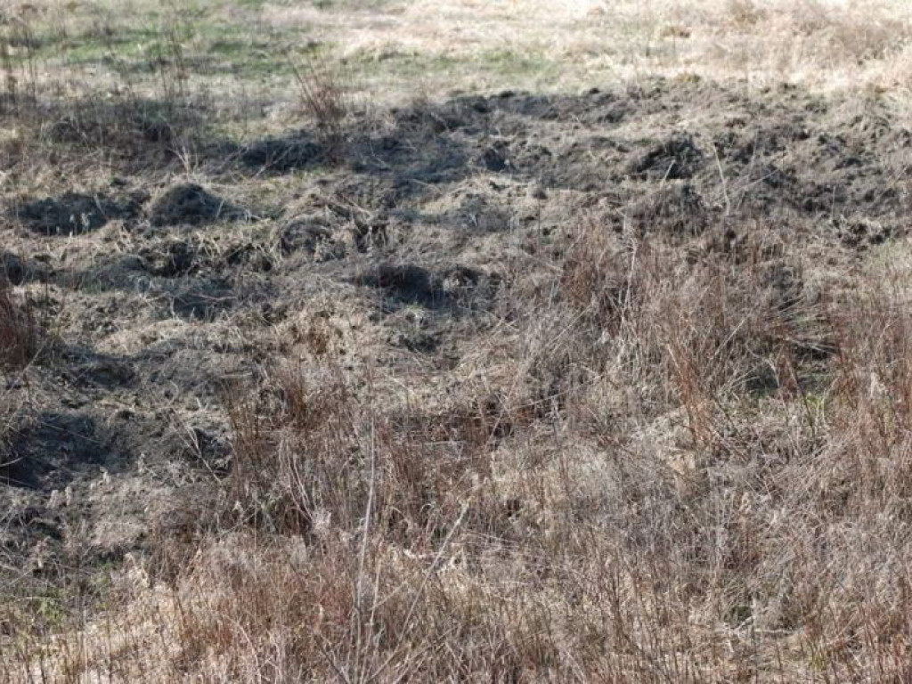 Jabłonna: Skontrolowali stan wałów przeciwpowodziowych