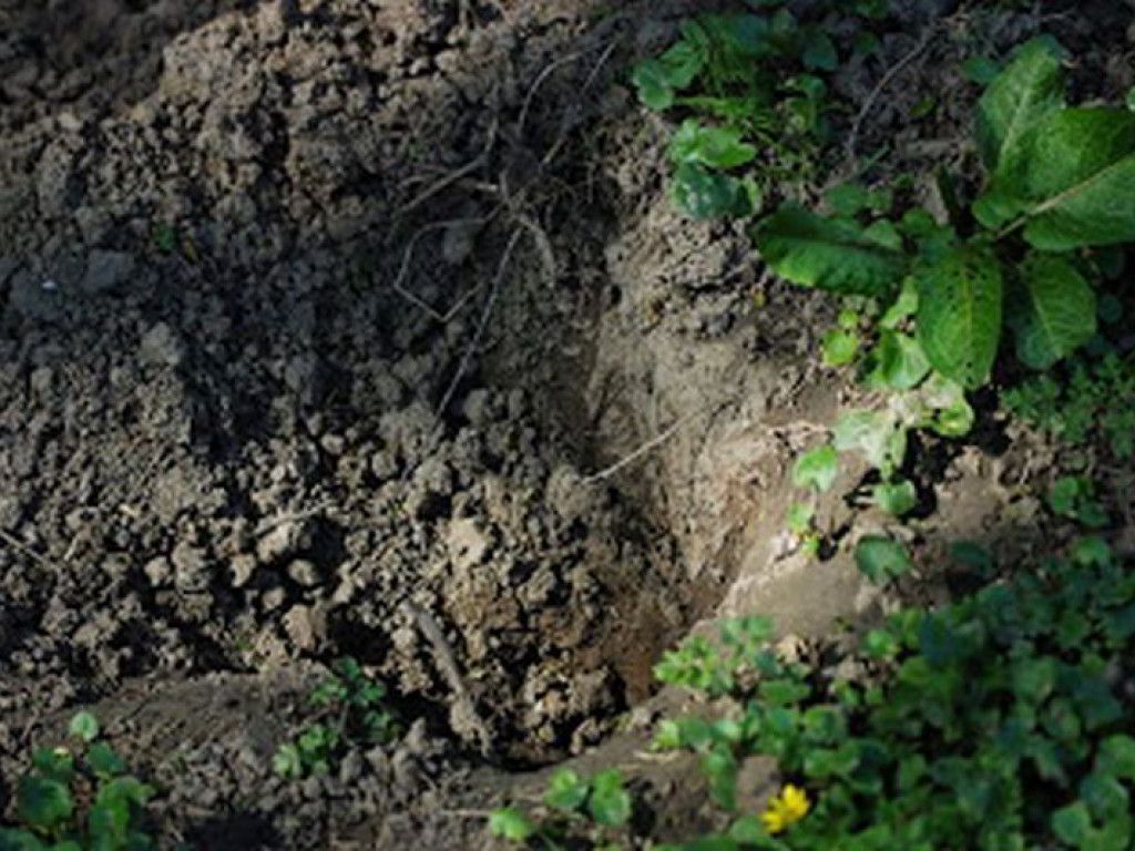 Jabłonna: Skontrolowali stan wałów przeciwpowodziowych