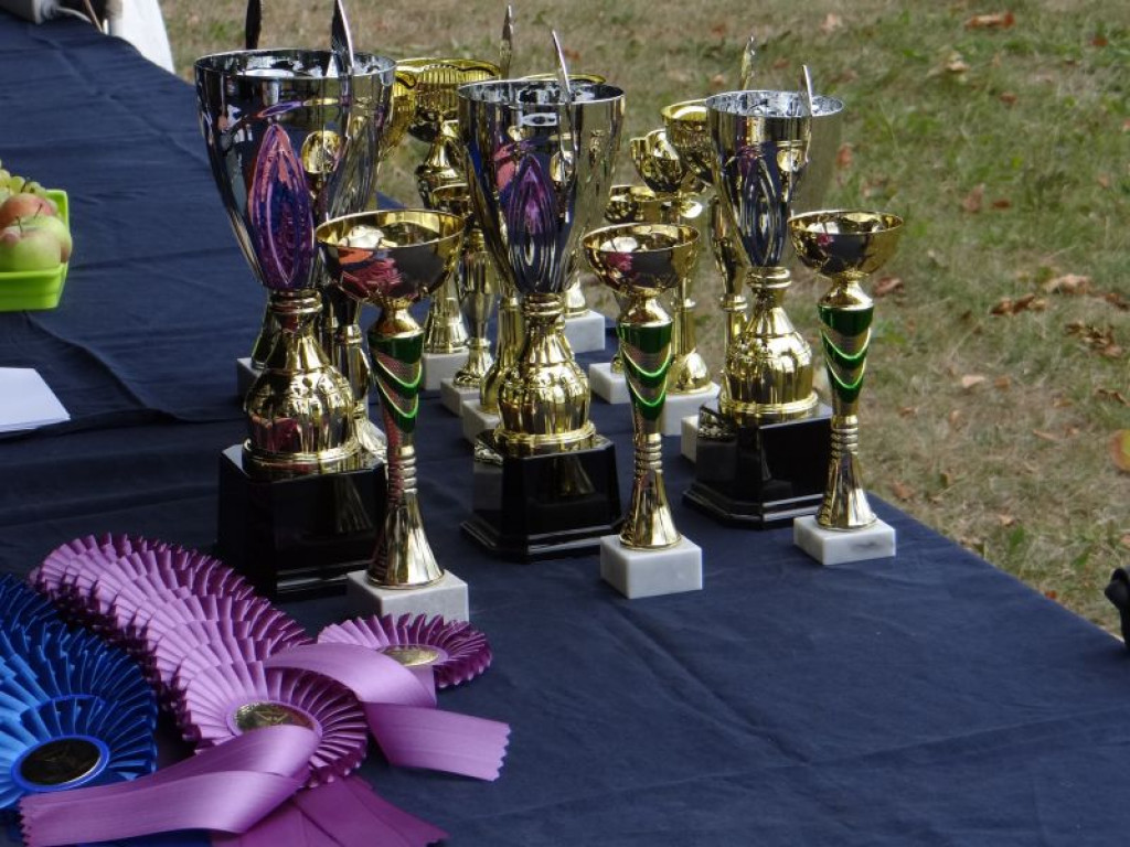 Jabłonna: Pomimo ulewy Święto Gminy się udało