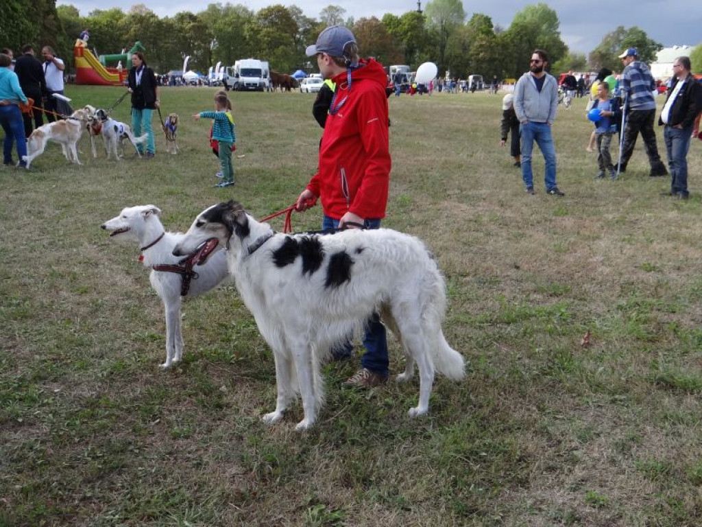 Jabłonna: Pomimo ulewy Święto Gminy się udało