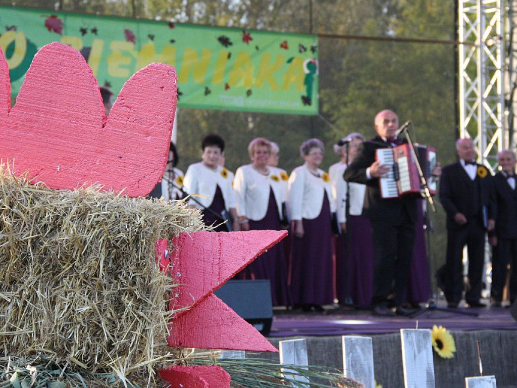 Dożynki Gminne w Stanisławowie Pierwszym