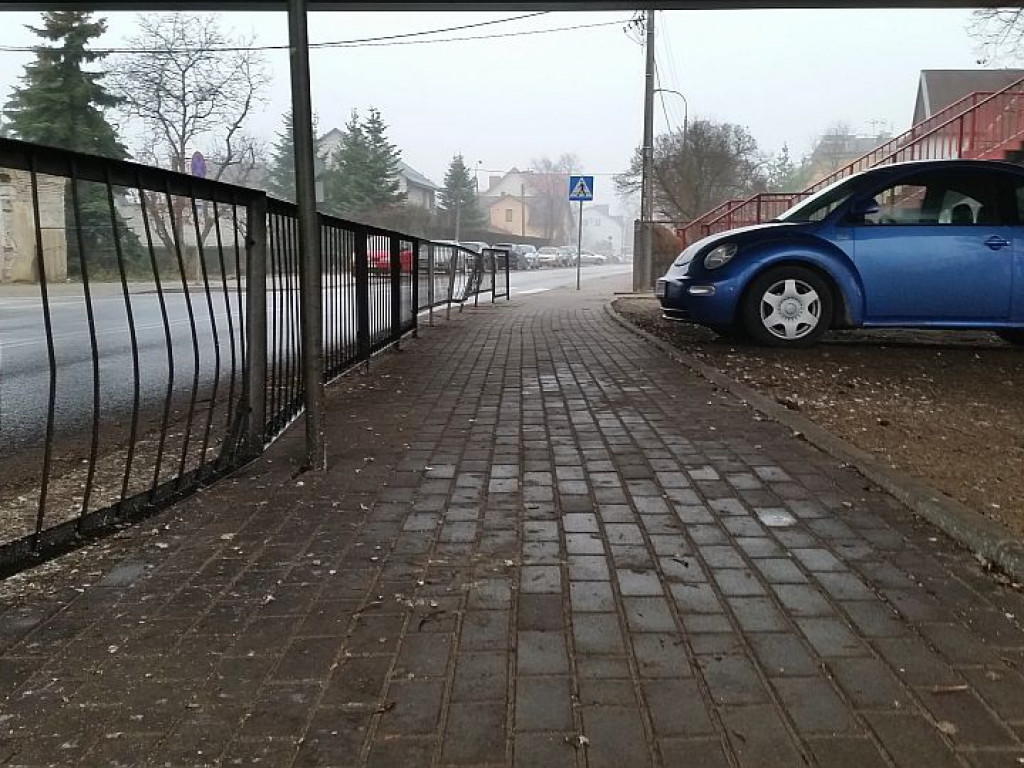 Legionowo: Gołębie kupy już nie straszne?