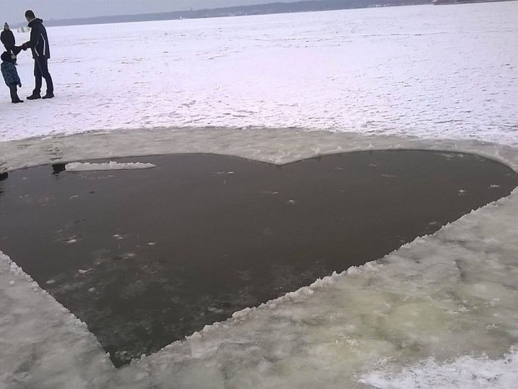 Kąpiel morsów w Zalewie Zegrzyńskim. Nietypowy przerębel w kształcie... serca