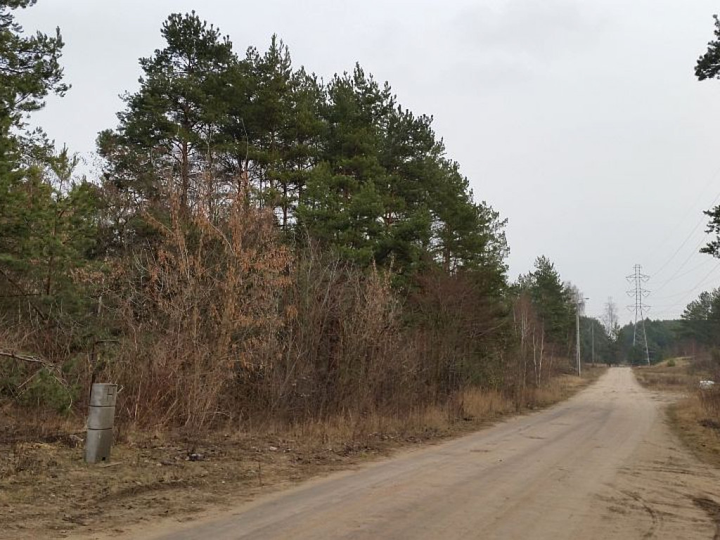 Legionowo: Lasy na Bukowcu pójdą pod topór?