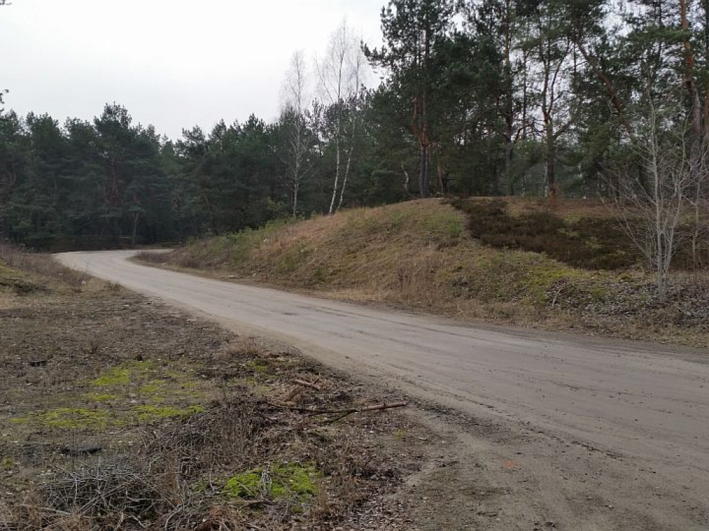 Legionowo: Lasy na Bukowcu pójdą pod topór?