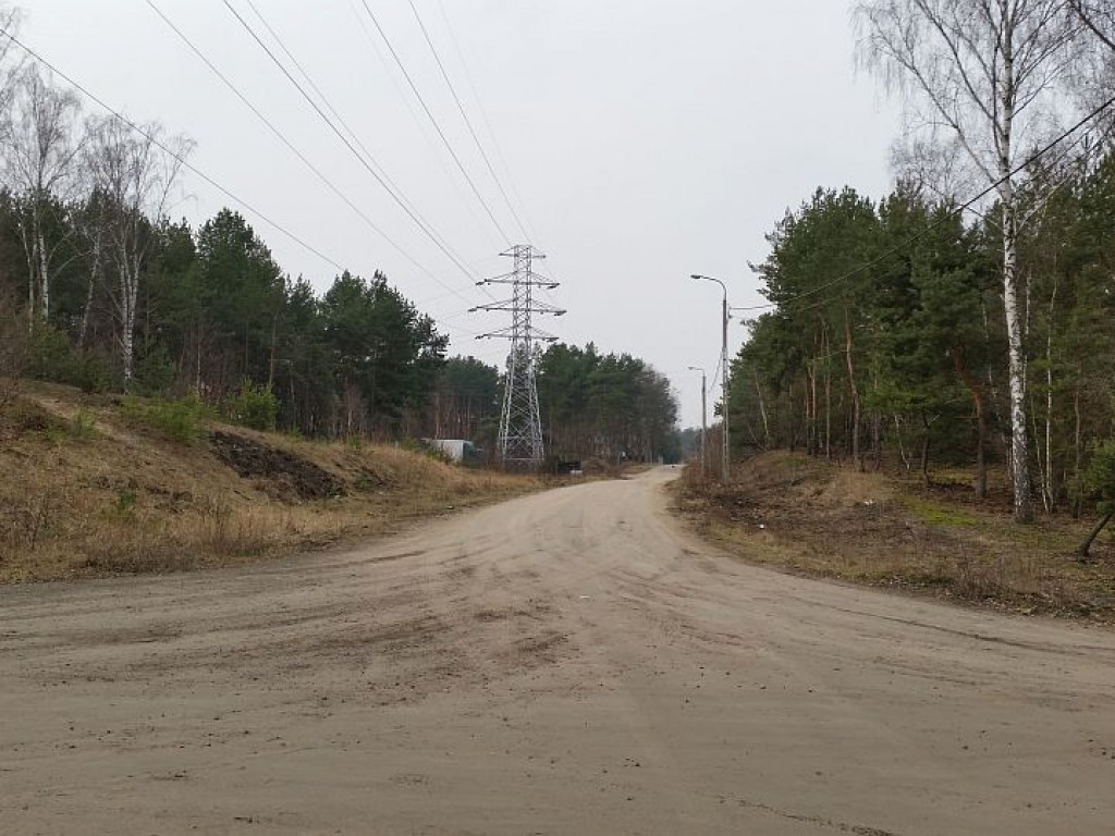 Legionowo: Lasy na Bukowcu pójdą pod topór?