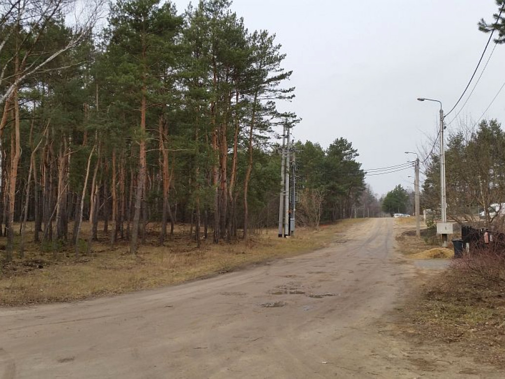 Legionowo: Lasy na Bukowcu pójdą pod topór?