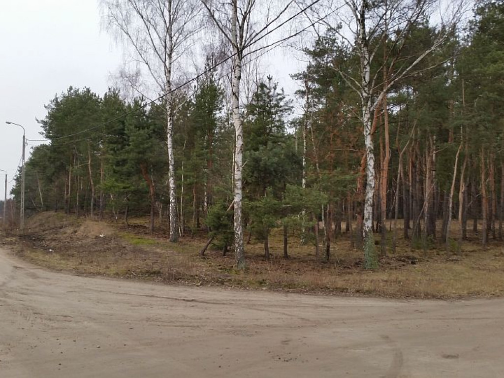 Legionowo: Lasy na Bukowcu pójdą pod topór?