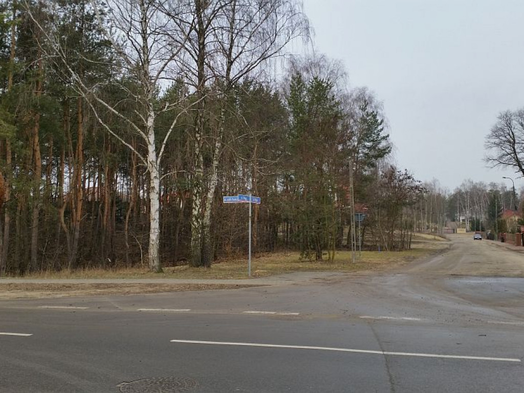 Legionowo: Lasy na Bukowcu pójdą pod topór?