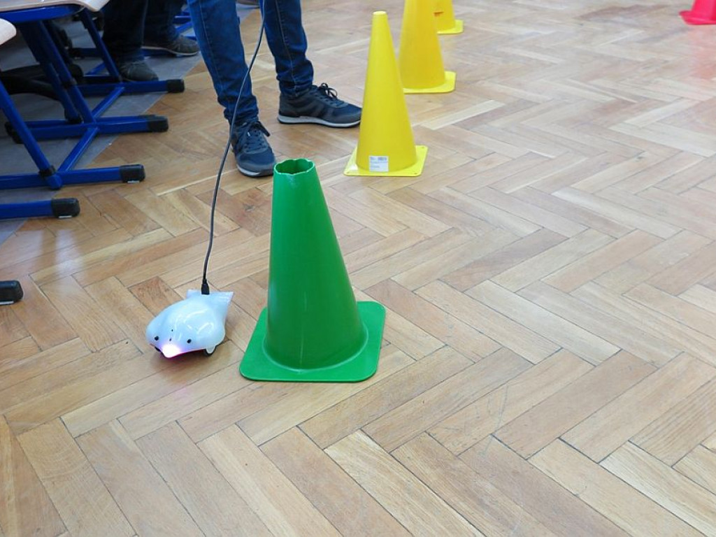 Legionowo: Magiczny świat Scratcha