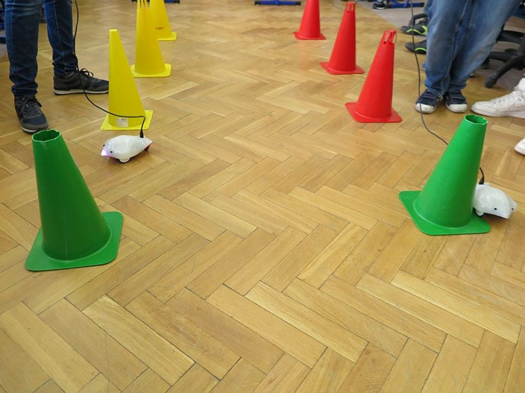 Legionowo: Magiczny świat Scratcha