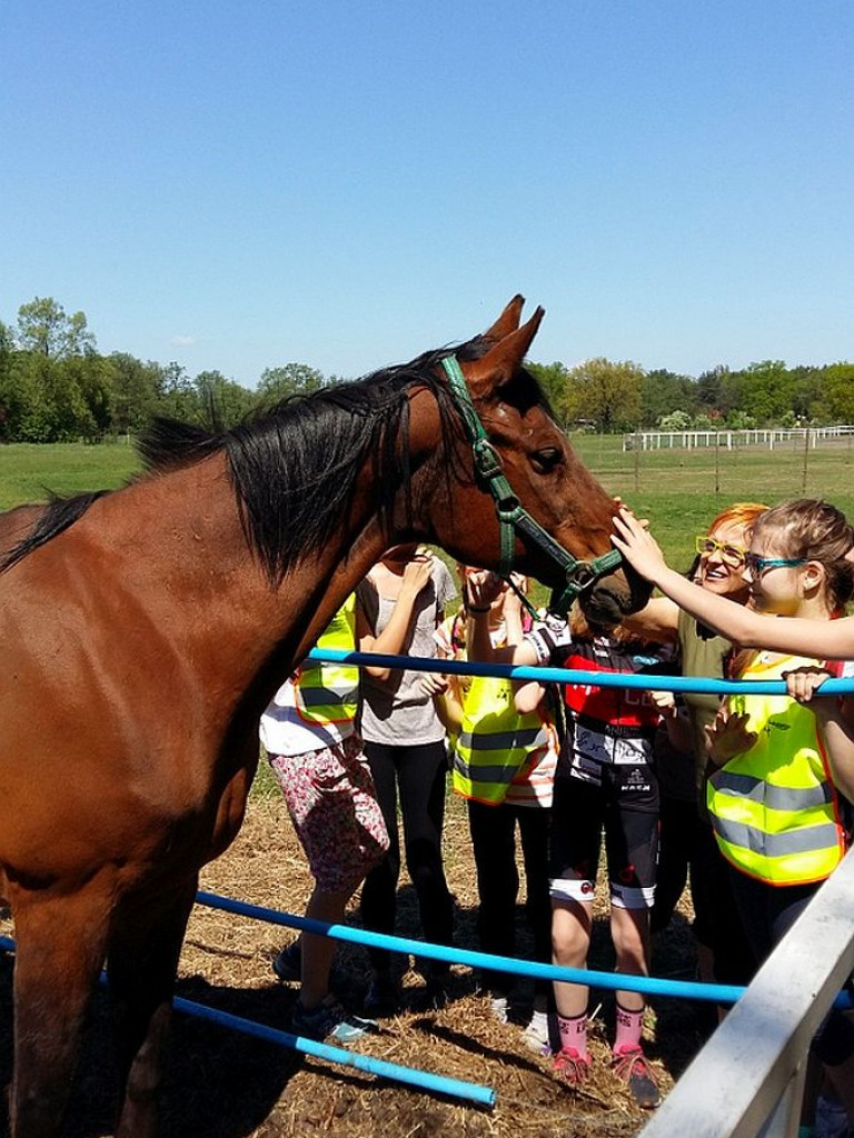 Legionowo: III Rajd Rowerowy 