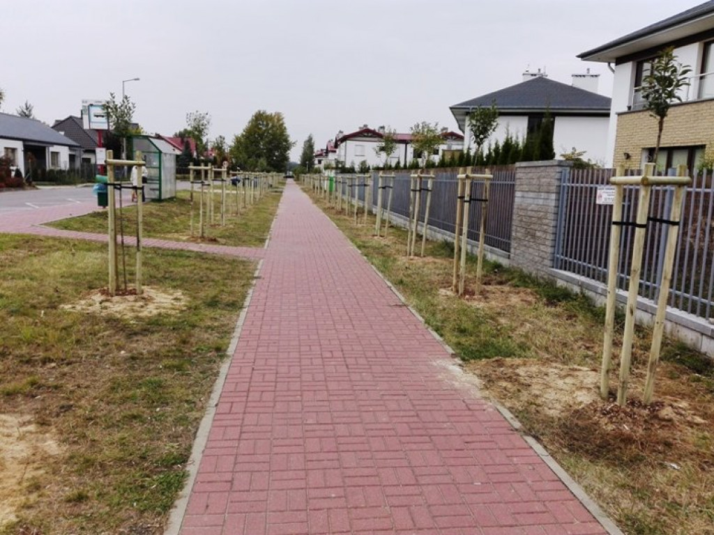 Jabłonna: Posadzili nowe drzewa, nie zapłacą kary